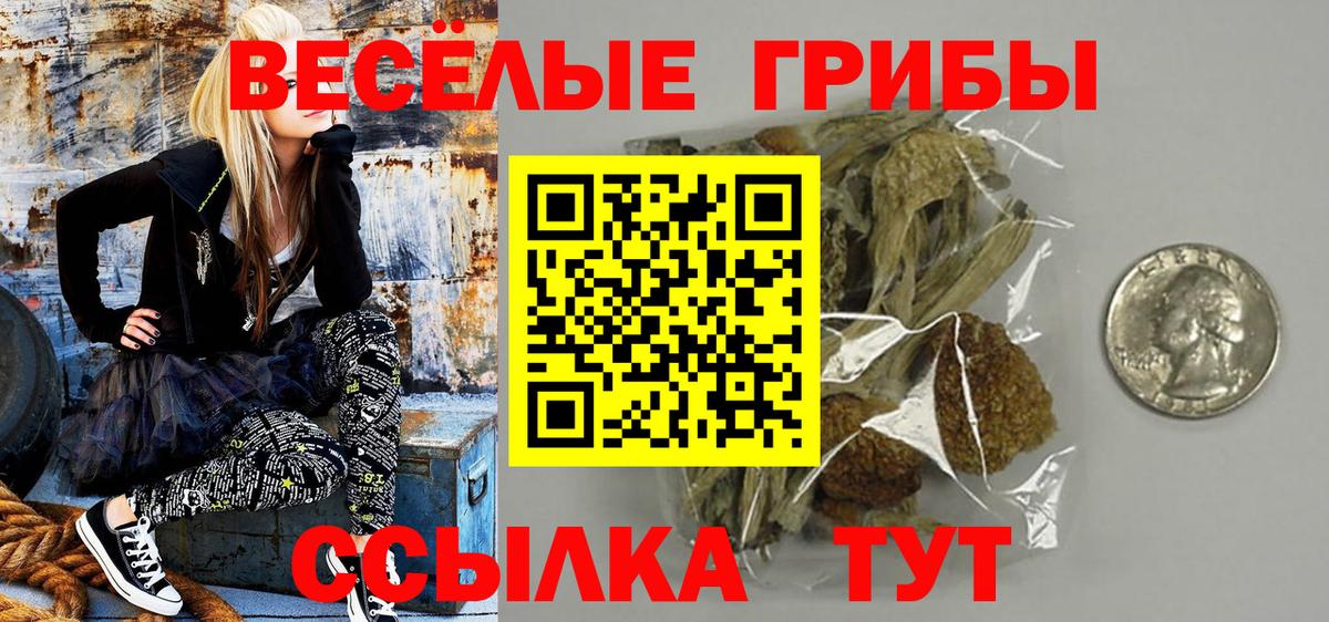 Кимовск  Псилоцибиновые грибы мицелий  Вход с VPN 